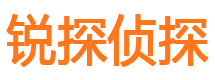 定日外遇出轨调查取证